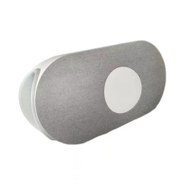 ABDOMINAL INTEGRATION